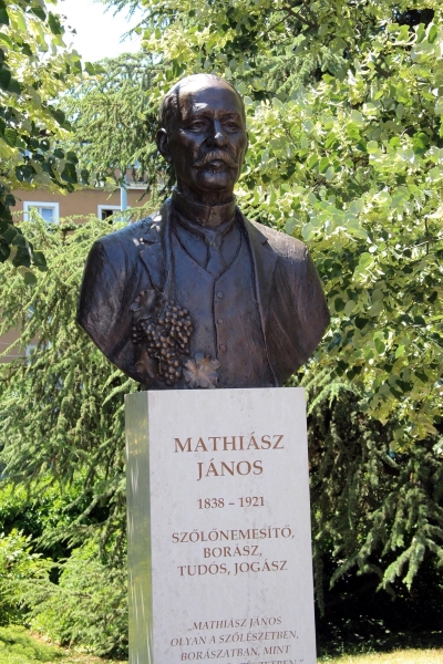 Mathiasz Institute course catalogue